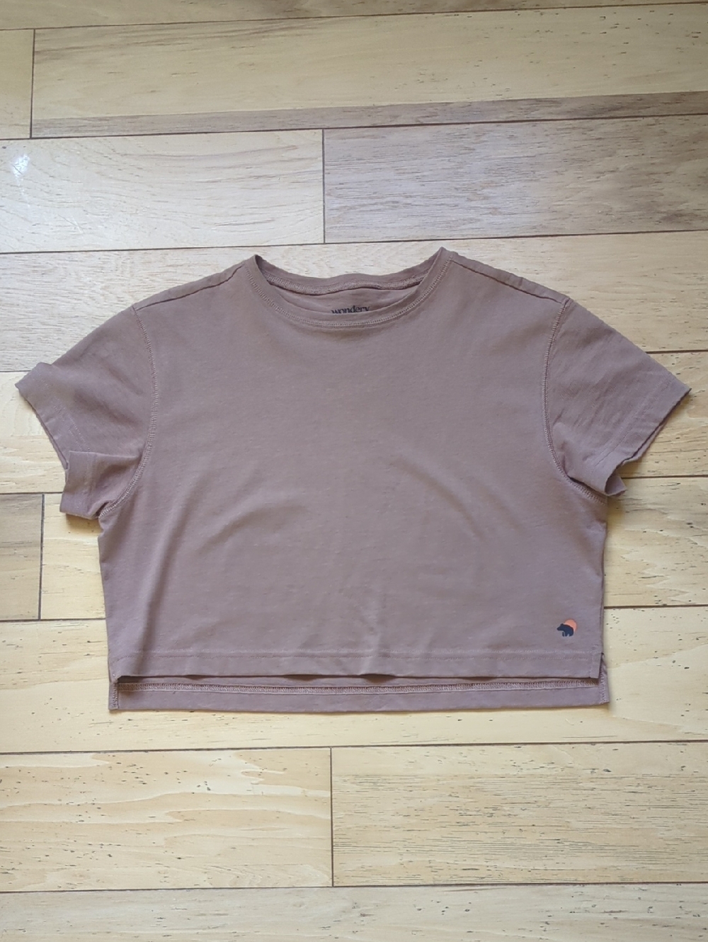 Wondery Borrego Trail Crop Tee in Clay size XXS